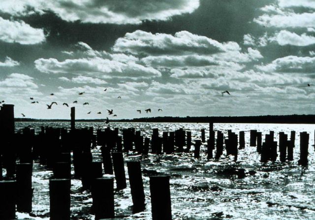 Stratocumulus following cold front passage Picture