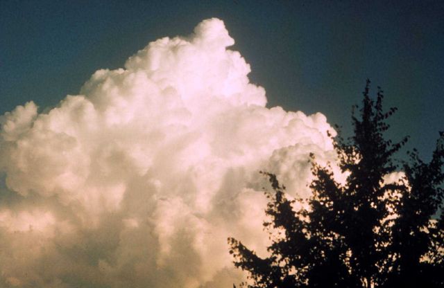 Cumulus congestus Picture