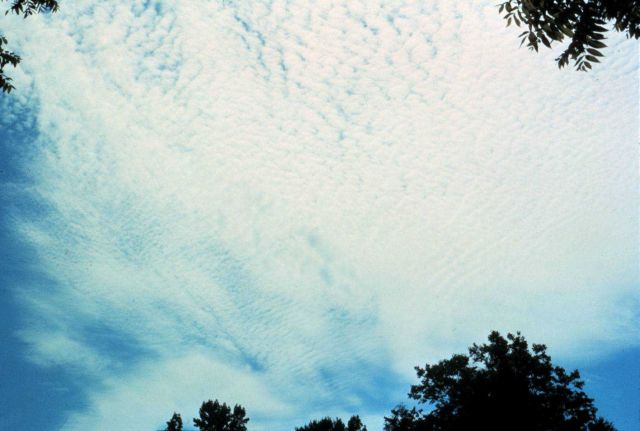 Stratiform altocumulus Picture