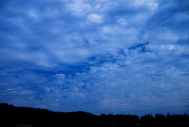 Unstable altocumulus showing a turreted appearance with some virga Picture