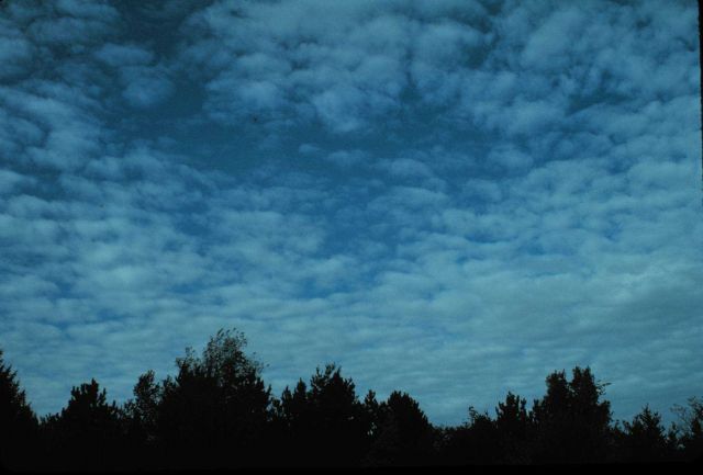 Cirrocumulus Picture