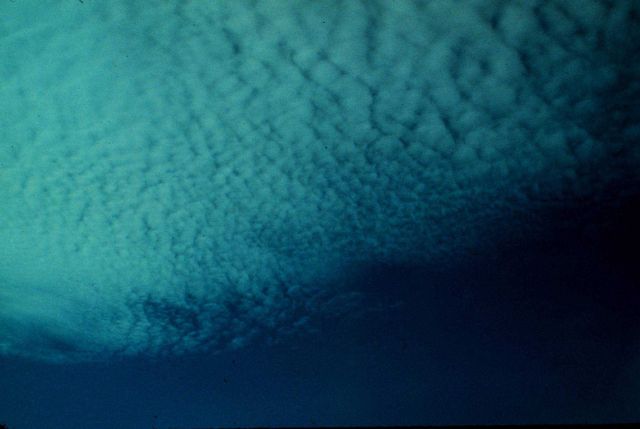 Cirrocumulus Picture