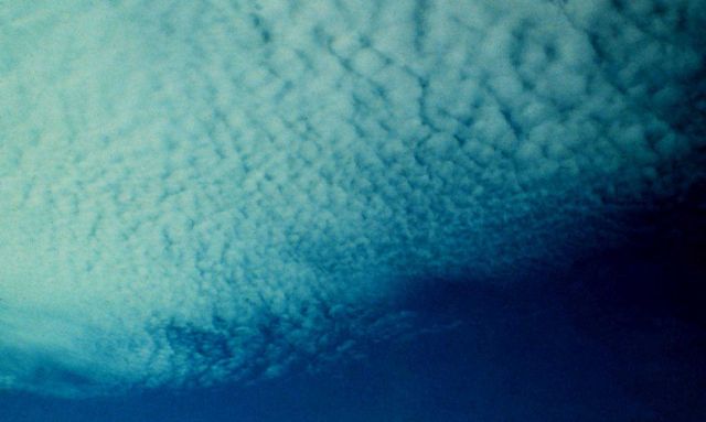 Cirrocumulus Picture