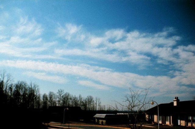 Cirrus clouds Picture