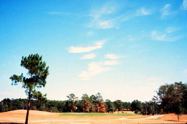 Cirrus with hooks or tufts Picture