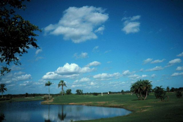 Fair weather cumulus Picture