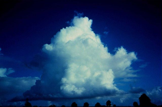 Cumulus clouds Picture