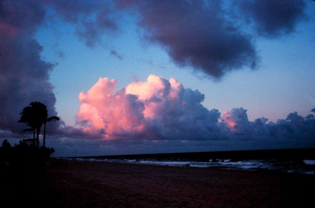 Cumulus clouds over the Atlantic Ocean Picture