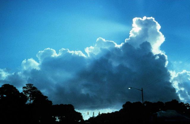 Cumulus clouds Picture
