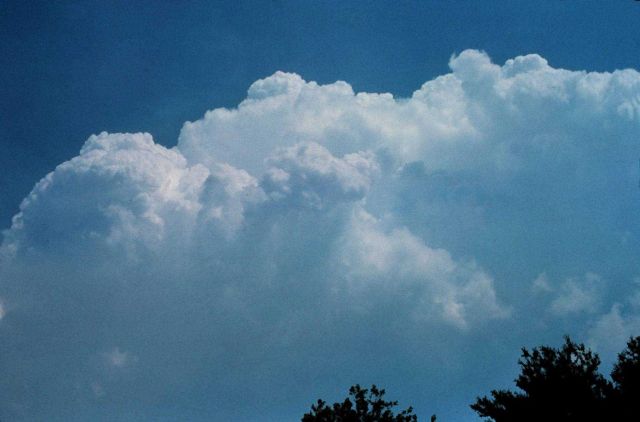 Cumulus congestus Picture