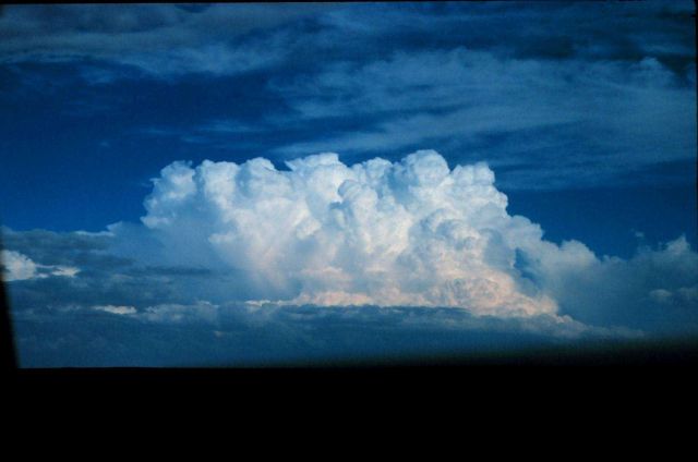 Cumulus congestus Picture