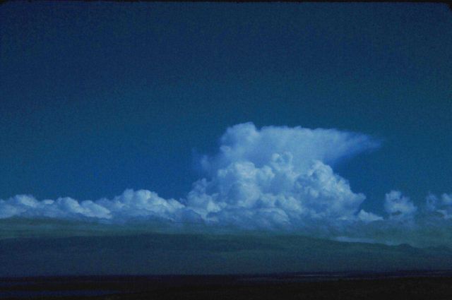 Cumulonimbus with anvil top and towering cumulus Picture