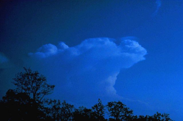 Developing cumulonimbus clouds with several pileus caps Picture