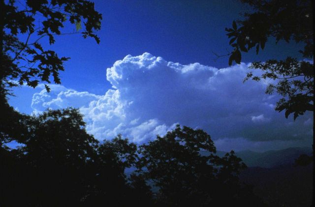 Developing cumulonimbus clouds over Black Mountains Picture