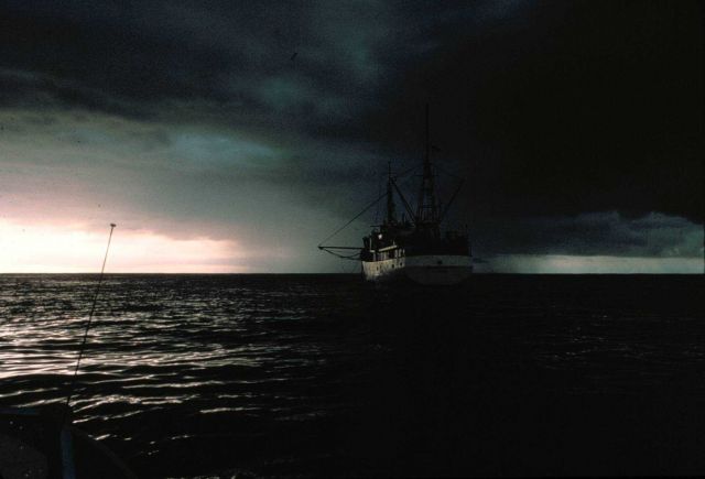 Cumulonimbus with research vessel in foreground Picture