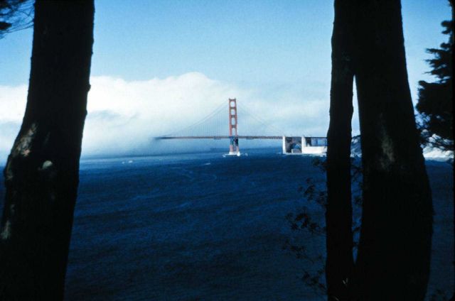 North side of the Golden Gate Bridge disappearing into the fog Picture