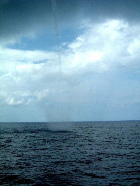 Waterspout observed from NOAA Ship RONALD H Picture