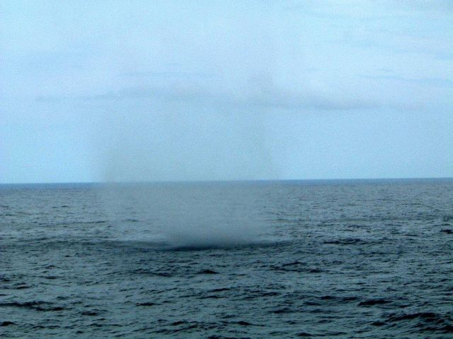 Waterspout observed from NOAA Ship RONALD H Picture