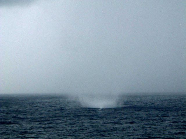 Waterspout observed from NOAA Ship RONALD H Picture