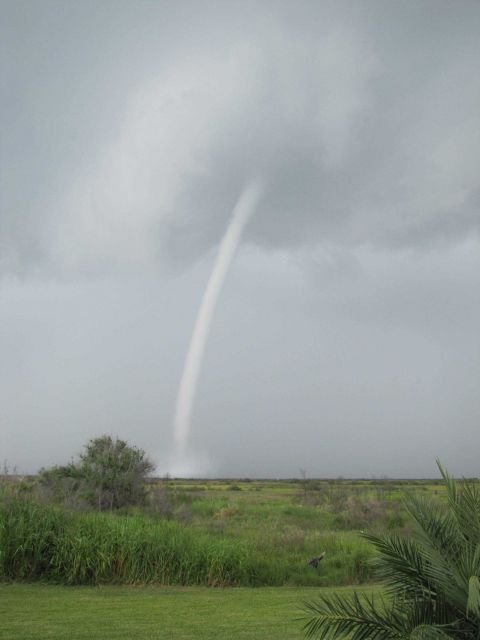 A spectacular series of images of waterspouts off the Port of Grand Isle. Picture