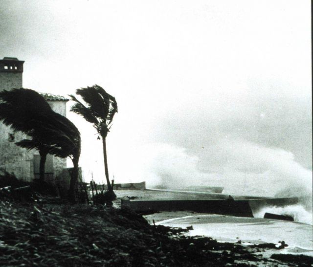 High waves caused by hurricane Picture