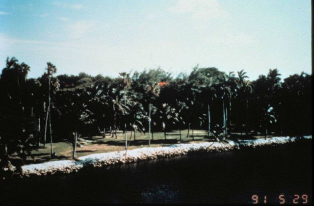 Hurricane Andrew -Sewell Park at the mouth of the Miami River On a normal day Picture