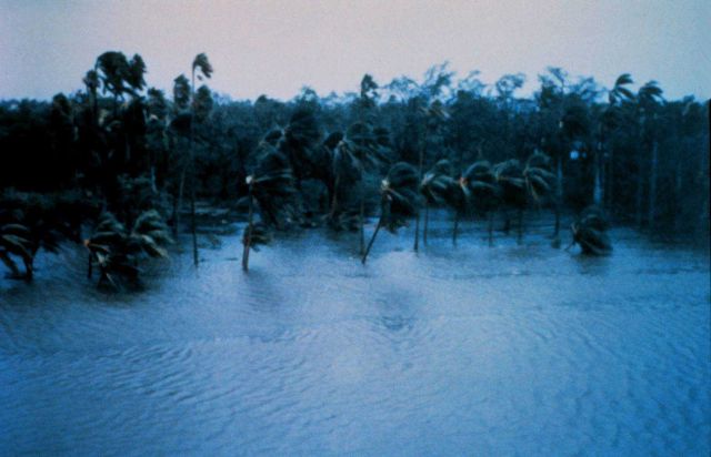 Hurricane Andrew -Sewell Park at the mouth of the Miami River Just after daybreak on August 24, 1992 Picture