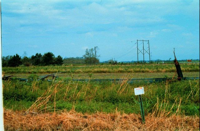 Hurricane Andrew - Power line poles snapped by Andrew High profile structures are susceptible to damage in strong wind events Picture