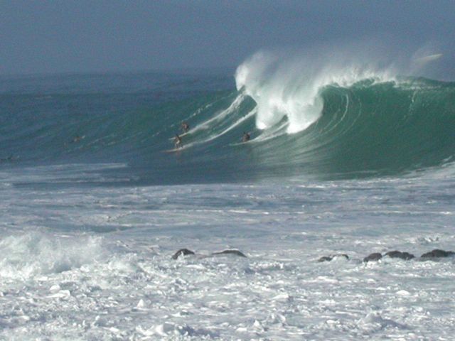 Huge surf with an offshore wind on Oahu's North Shore. Picture
