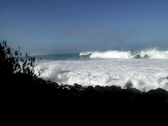 Huge surf with an offshore wind on Oahu's North Shore. Picture
