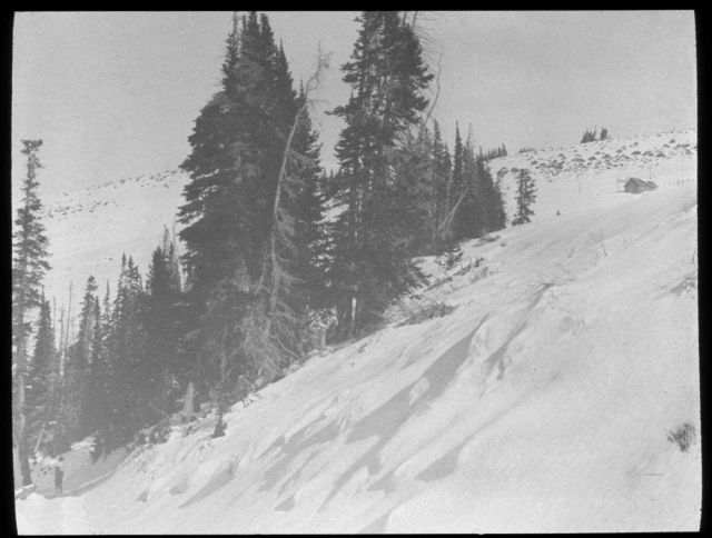 The end of horse and sleigh travel on the way to the Weather Bureau/Forest Service Cooperative site outside of Ephriam, Utah, for snow observations Picture