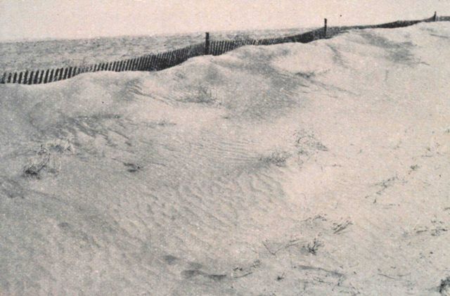 Dust and sand heaped up against fence windbreak Picture