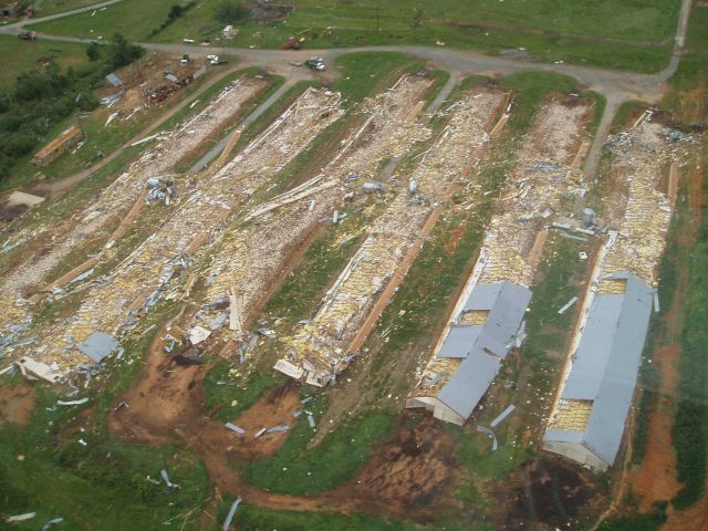 Chicken houses destroyed on Mountain Home Road on the Polk/Floyd County line. Picture