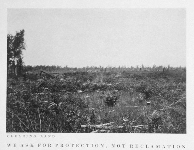 Clearing land Picture