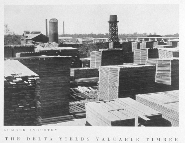 Timber industry Picture