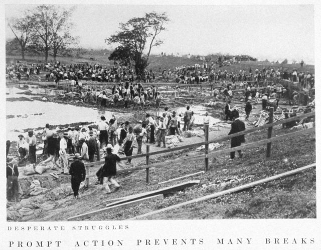 Desperate struggles Picture