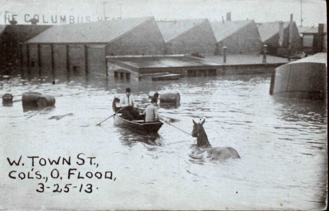Row boat leading a horse to safety on West Town Street. Picture
