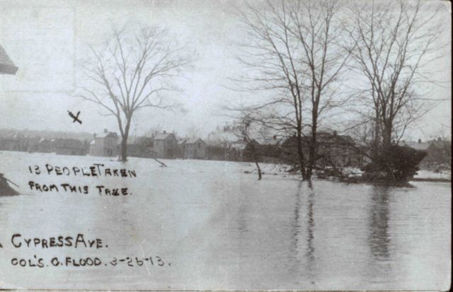 Cypress Avenue showing where 13 people were rescued from a tree. Picture