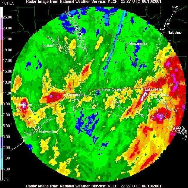 Integrated rainfall totals from Tropical Storm Allison Picture