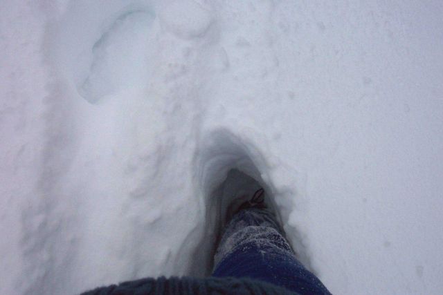 It's a long way down through the snow. Picture