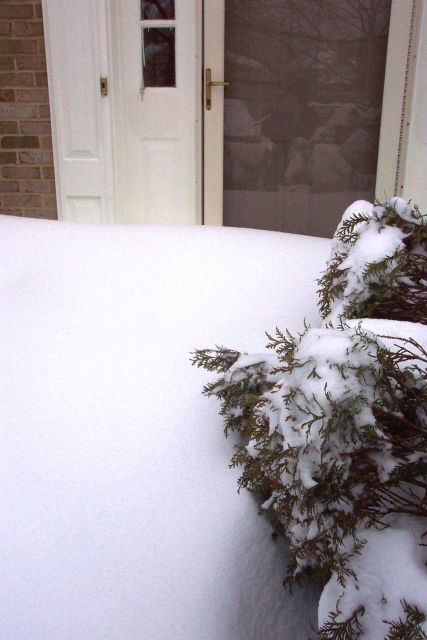 Non-functional front door until some more serious shoveling is done. Picture