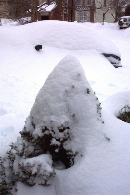 Automobile being covered by snow - Photo -5. Picture