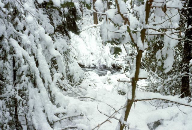 North Fork of the Little Butte Creek in a snow-draped winter wonderland. Picture