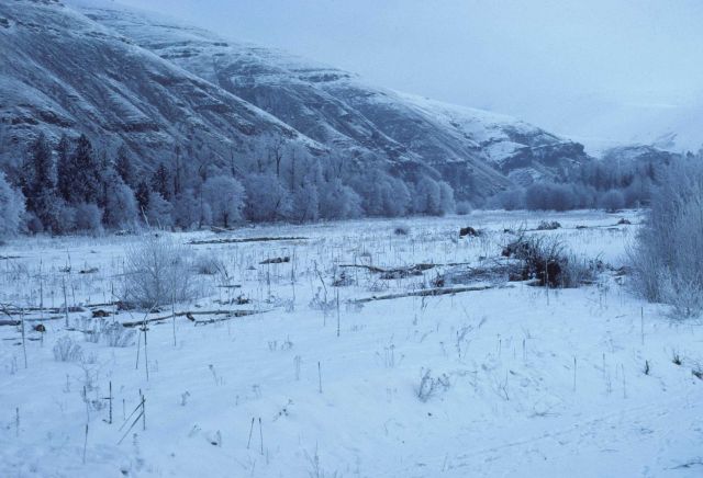 The Umatilla River near Thorn Hollow showing a wide flood plain which is indicative of an unstable, shifting channel. Picture