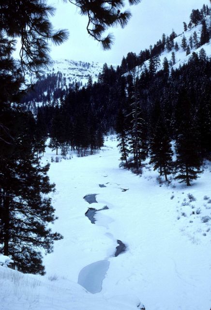 North Fork of the John Day River frozen over below Dale. Picture