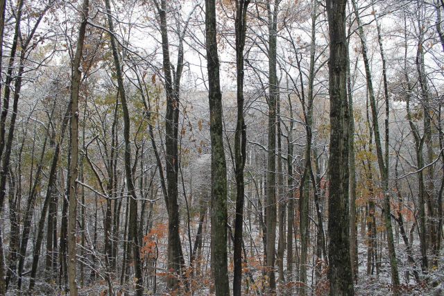 The surprise October record snowfall Picture