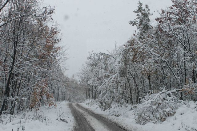 The surprise October record snowfall Picture
