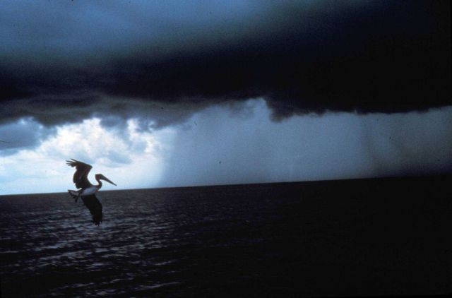 Cumulonimbus. Picture