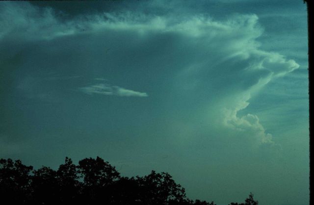 Cumulonimbus with anvil top. Picture