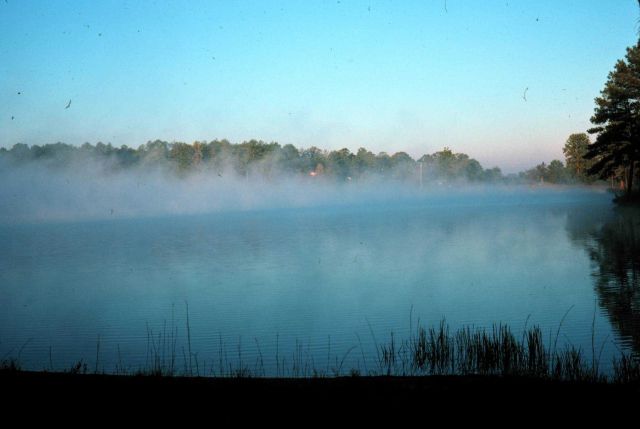 Early morning lake fog. Picture
